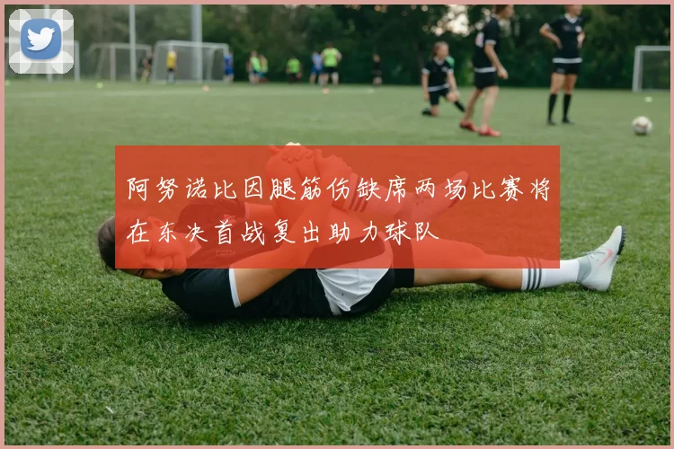 阿努诺比因腿筋伤缺席两场比赛将在东决首战复出助力球队