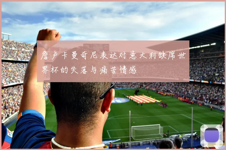 詹卢卡曼奇尼表达对意大利缺席世界杯的失落与痛苦情感