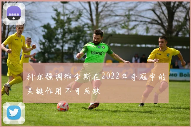 科尔强调维金斯在2022年夺冠中的关键作用不可或缺